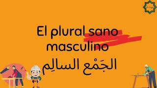 AL-LUGA || El plural  sano masculino en árabe