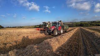 Winter Barley Harvest, will it be a good one?