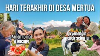 HARI TERAKHIR DI DESA PANEN2 & NYENENGIN NENEK