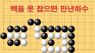 바둑 묘수 사활 - 백을 못 잡으면 만년하수 입니다