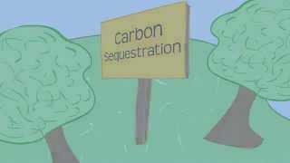 Carbon Sequestration 101