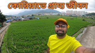 কোরিয়াতে গ্রাম্য জীবন | Village Life in South Korea