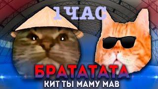 КИТ ТЫ МАМУ МАВ- БРАТАТАТАТА 1ЧАС