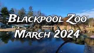 Blackpool Zoo in March 2024