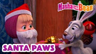 Masha and the Bear 2024  Santa Paws  Best episodes cartoon collection 