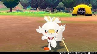 Scorbunny In Camp - Pokemon Sword & Shield