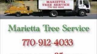 Marietta Tree Service: Removal of 2 Trees-Logs Cut to Length and Total Landscaping Cleanup