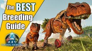 The BEST Breeding Guide on Mutations | Ark Survival Ascended