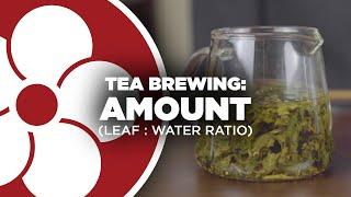 HOW MUCH TEA should you use?? (Tea Brewing Amount)