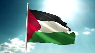 Palestine Flag Waving | Palestinians Flag Waving | Palestine Flag Screen