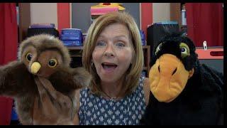 Preschool Online Learning ABCs With Denise & Ollie Creative Kids Virtual Preschool