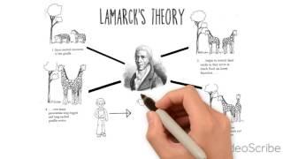 Theory of Evolution - Darwin, Lamarck