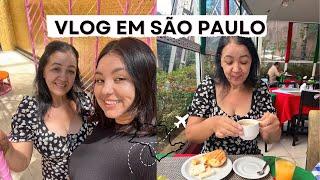 vlog em são paulo - parque ibirapuera, brás, aniver da mãe, rua 25 de março e muito mais