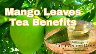 Mango leaves for diabetes || How to use Mango Leaves tea || high blood pressure || Chef André Davy