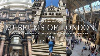 Inside Museums Of London| Natural History Museum | Victoria &Albert Museum| Things to do in LONDON