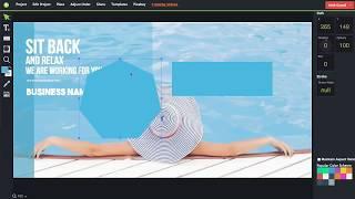 DesignoPRO Review   Web based Vector Graphics Editor