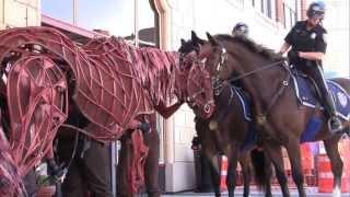 Joey, of WarHorse, meets Providence Mounted Command horses