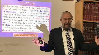 Character Development according to the Torah - Part I - Rabbi Yinon Kalazan