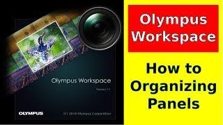 Olympus Workspace Tutorial: Organizing Panels/Palettes ep.201