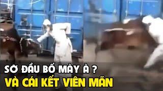 Tổng Hợp Hài Động Vật| Đọc suy nghĩ động vật mới nhất | hài Tin Việt | Tô Tin Tức