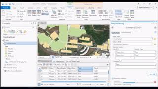 Summarizing Attribute Tables in ArcGIS Pro