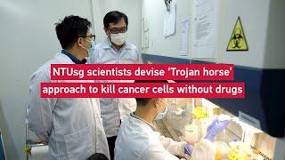 NTU Singapore scientists devise ‘Trojan horse’ approach to kill cancer cells without using drugs