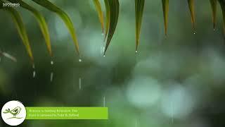 10 Hours Relaxing Sleep Music ++ Rain Sounds + Relaxing Music, Peaceful Piano Music, Insomnia