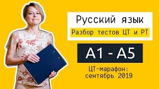 Разбор ЦТ и РТ по русскому языку | А1-А5