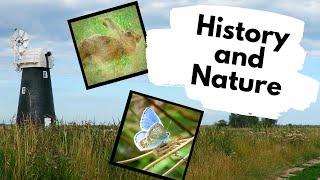 The Hidden Nature of the Norfolk Broads: A Wildlife and Mills Walk at Halvergate Marshes