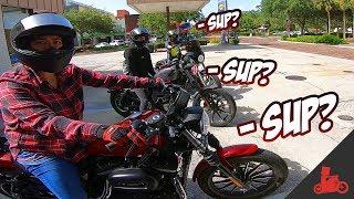 Girls Who Ride Harleys!  (Pt. 1)