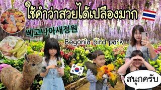 Ep.938 #แม่บ้านเกาหลี พาไปเที่ยวสถานที่ใหม่ในเกาหลี สวนนก #베고니아 สวยมาก มีสัตว์ต่างๆให้ป้อนอาหารด้วย