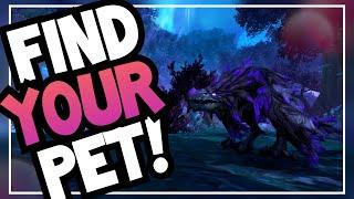 Which hunter pet should YOU use? | How to pick a main pet guide | World of Warcraft Shadowlands