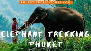 Elephant Trekking in Phuket 2019 - Tropic Tours |  Video Tour