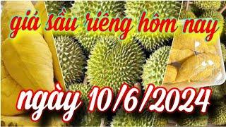 giá sầu riêng hôm nay ngày 10/6/2024