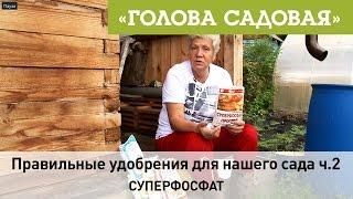 Голова садовая - Правильные удобрения для нашего сада ч.2 (Суперфосфат)