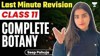 Last Minute Revision | Complete Botany Class 11 | एक आख़री बार | NEET 2023 | Seep Pahuja