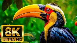 ЧУДЕСА ПЛАНЕТЫ ЗЕМЛЯ 8K (60FPS) ULTRA HD – визуальная одиссея сквозь величие природы