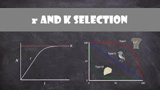 r and K selection | Ecology