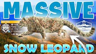 Tracking a 9 Legendary SNOW LEOPARD in Sundarpatan!!! - Call of the Wild