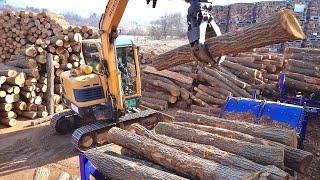 Process of Mass Producing 10,000 Tons of Oak Firewood. Largest Firewood Manufacturing Factory