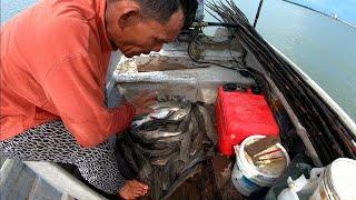 Menajur ikan sembilang:traditional fishing