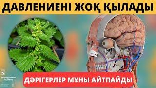 Соңына дейін көріңіз | Қан қысымын РЕТТЕЙТІН ЕМДІК ШӨПТЕР |  Гипертония емдеу #емдікшөптер