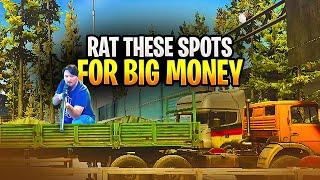 Only Rat These Spots if You Need Money or Your  Small