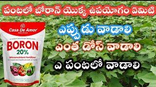 BORON | 20% boron | water soluble boron fertilizer| benefits of boron | how to increase frute size