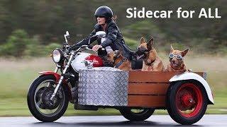 Motorcycle Sidecar