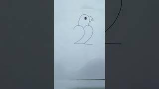 Easy parrot Drawing