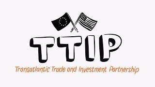 What is the TTIP (Transatlantic Trade Investment Partnership) | DiEM25