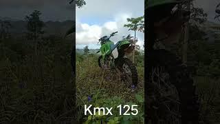 2 stroke love kmx 125