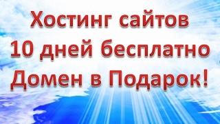  Какой хостинг выбрать? Домен в подарок 16+