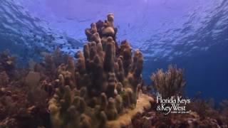 Christ of the Deep (a.k.a. Christ of the Abyss) statue, Key Largo